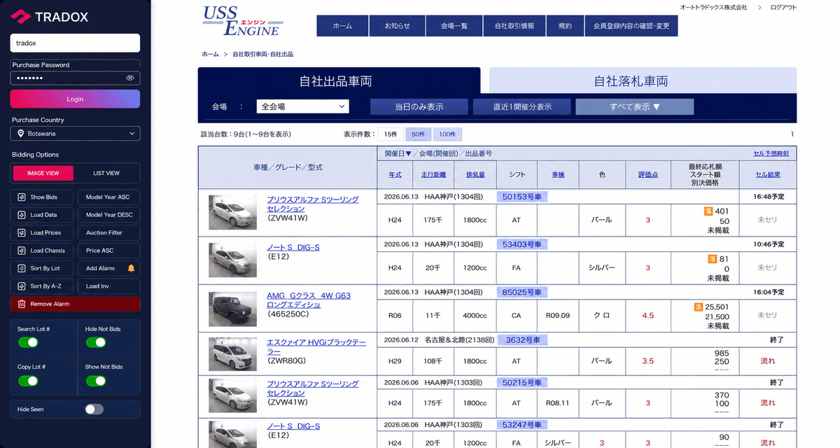 Global auction bidding system auction website